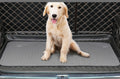 Chien assis sur un tapis de protection absorbant dans un coffre de voiture