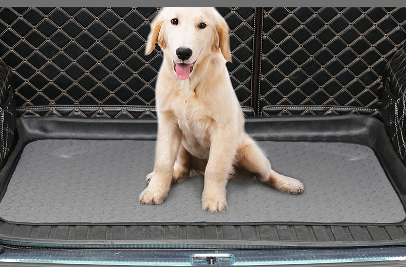 Chien assis sur un tapis de protection absorbant dans un coffre de voiture