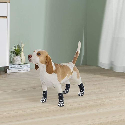 Chaussettes antidérapantes pour chien senior — photo 2