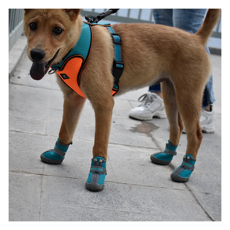 Chaussures antidérapantes et réfléchissantes pour chien