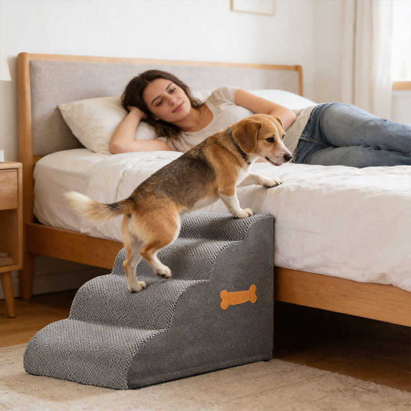 Chien montant un escalier-rampe pliable vers le lit