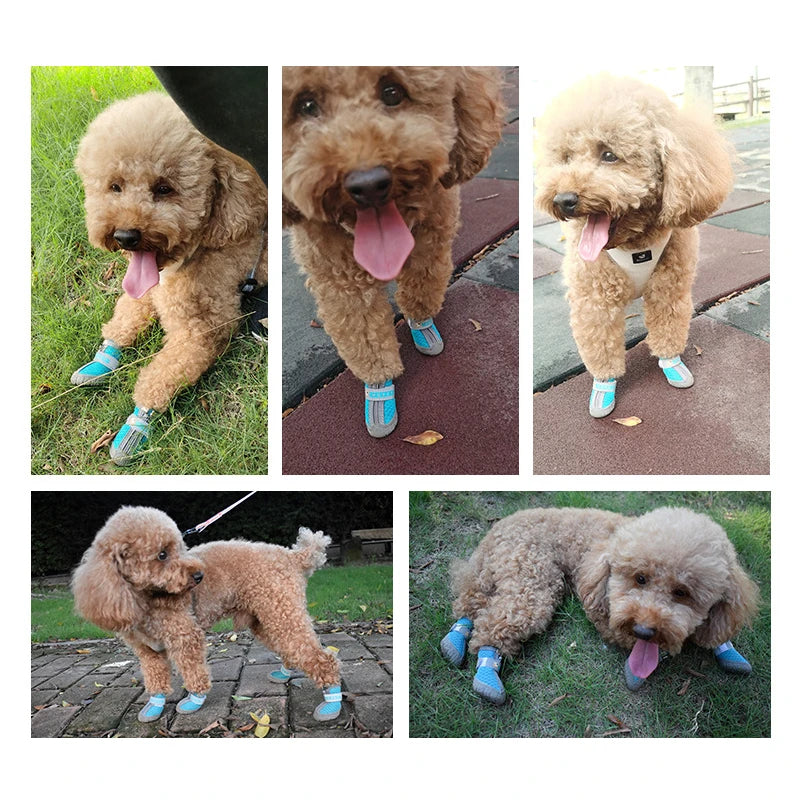Chaussures antidérapantes et réfléchissantes pour chien