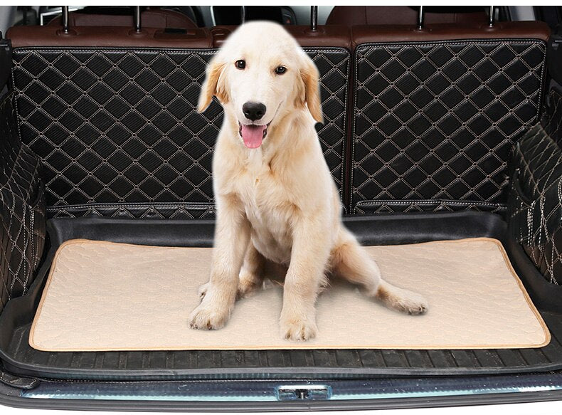 Tapis de protection absorbant et lavable pour chien senior — photo 8